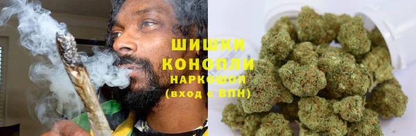 PSILOCYBIN Алексеевка