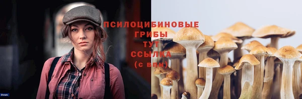 PSILOCYBIN Алексеевка