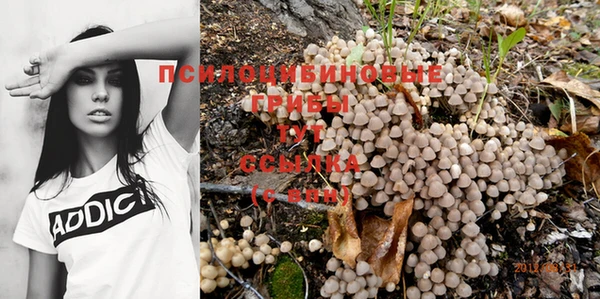 PSILOCYBIN Алексеевка