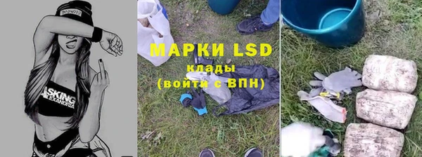 PSILOCYBIN Алексеевка