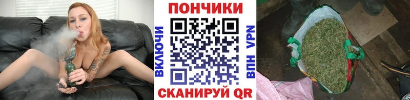 где купить наркотик  Сортавала  Бошки Шишки планчик 